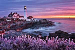 lighthouse sunset purple flowers (3)                                                                                                               